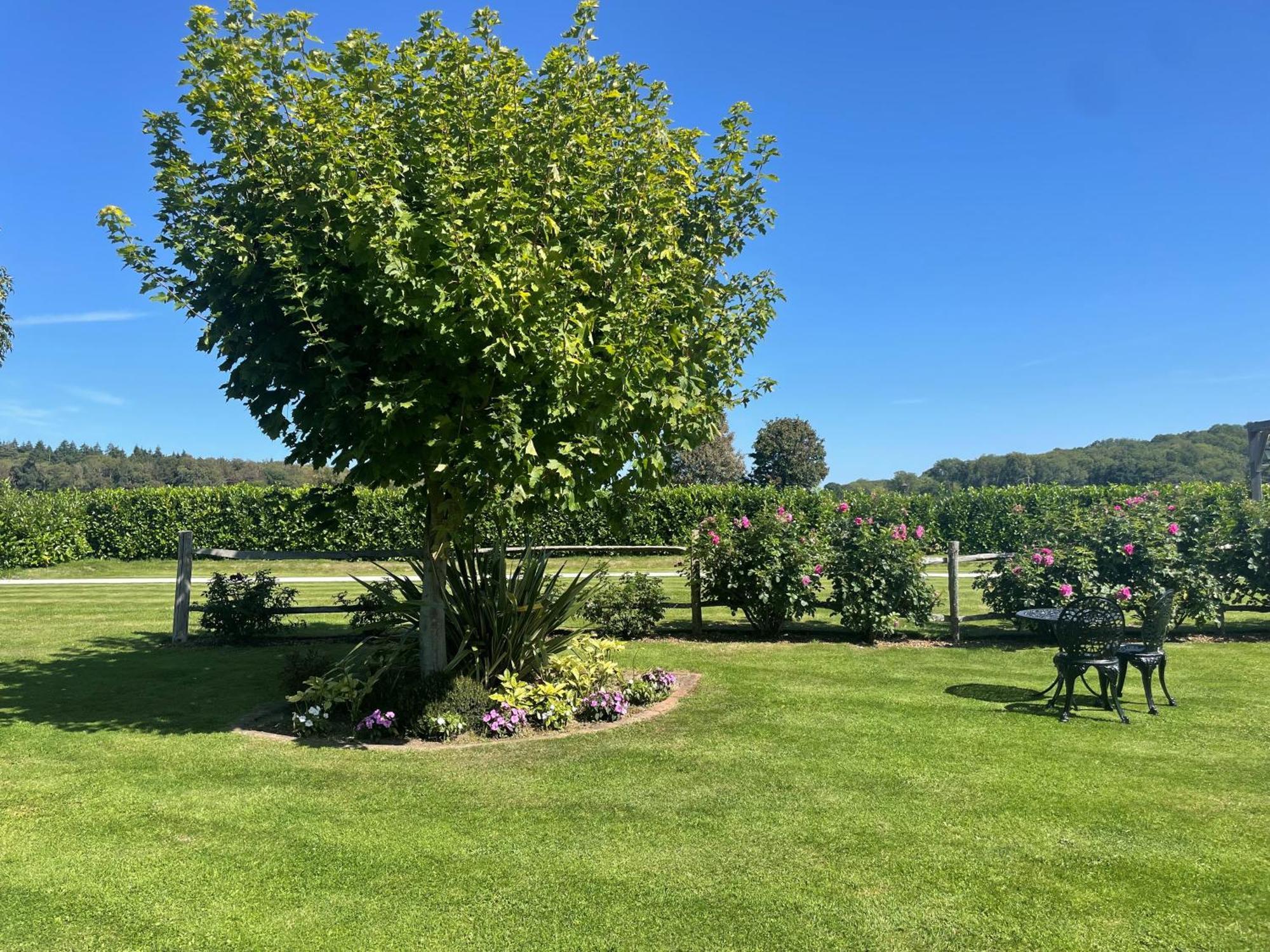 Old Selden Farm B&B Clapham  Экстерьер фото