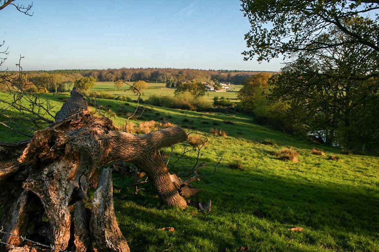 Old Selden Farm B&B Clapham  Экстерьер фото