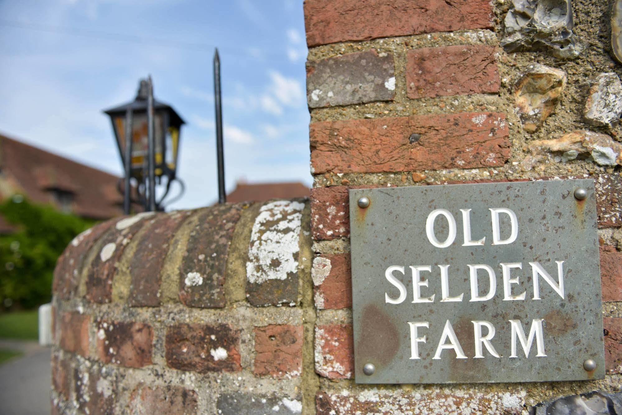 Old Selden Farm B&B Clapham  Экстерьер фото