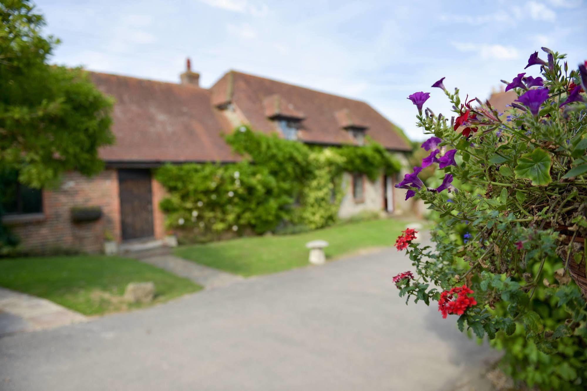 Old Selden Farm B&B Clapham  Экстерьер фото