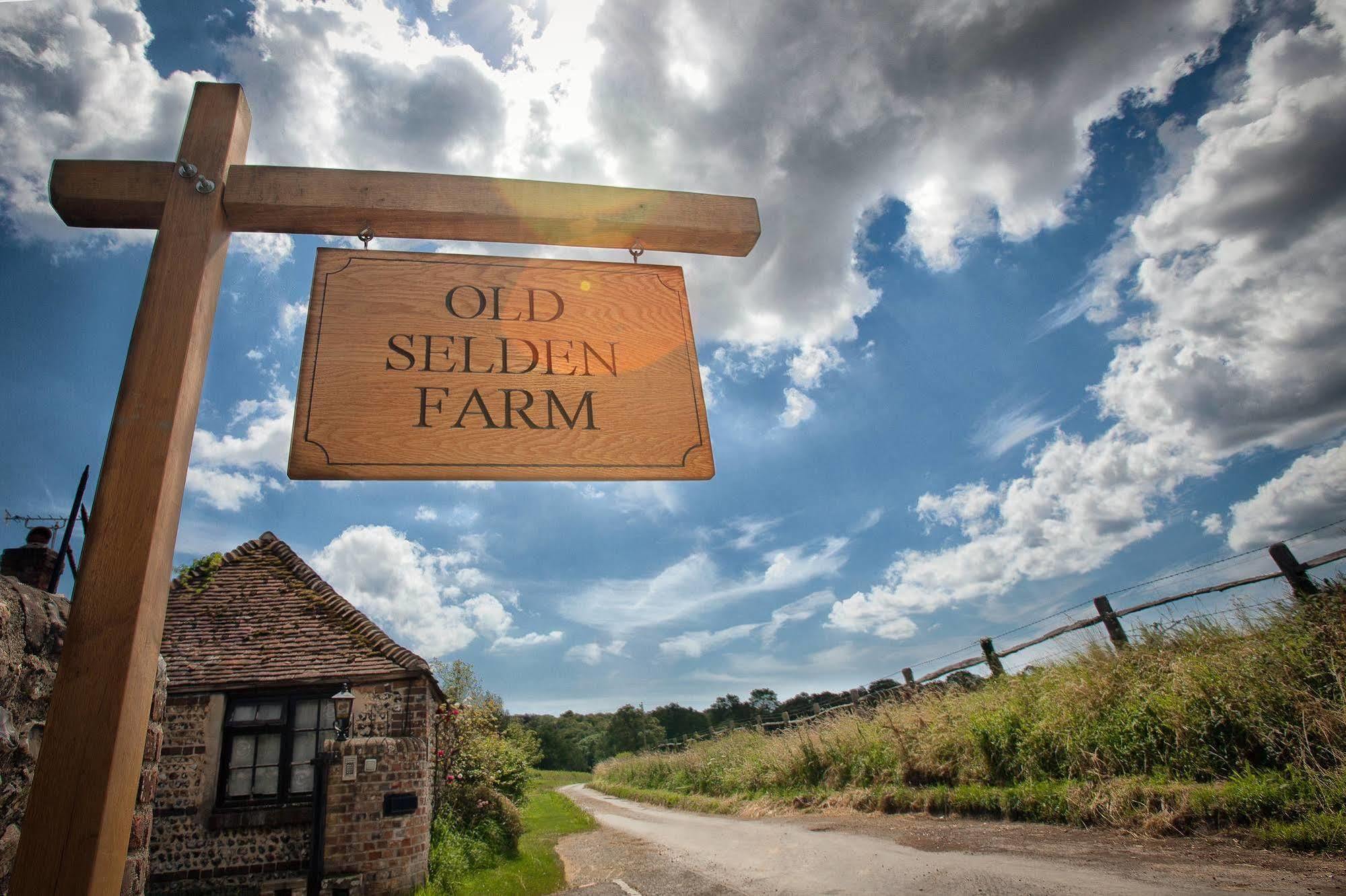 Old Selden Farm B&B Clapham  Экстерьер фото