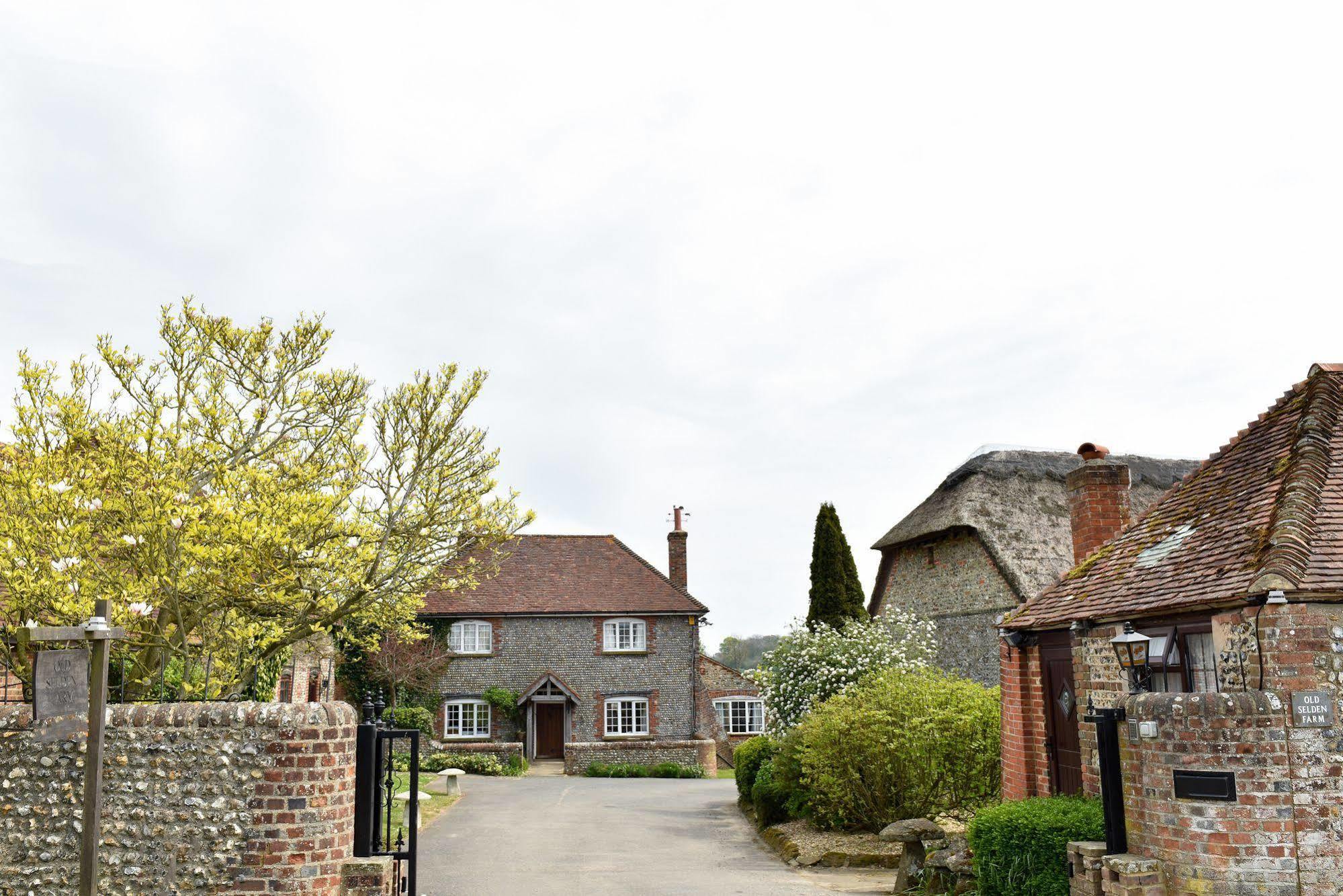 Old Selden Farm B&B Clapham  Экстерьер фото
